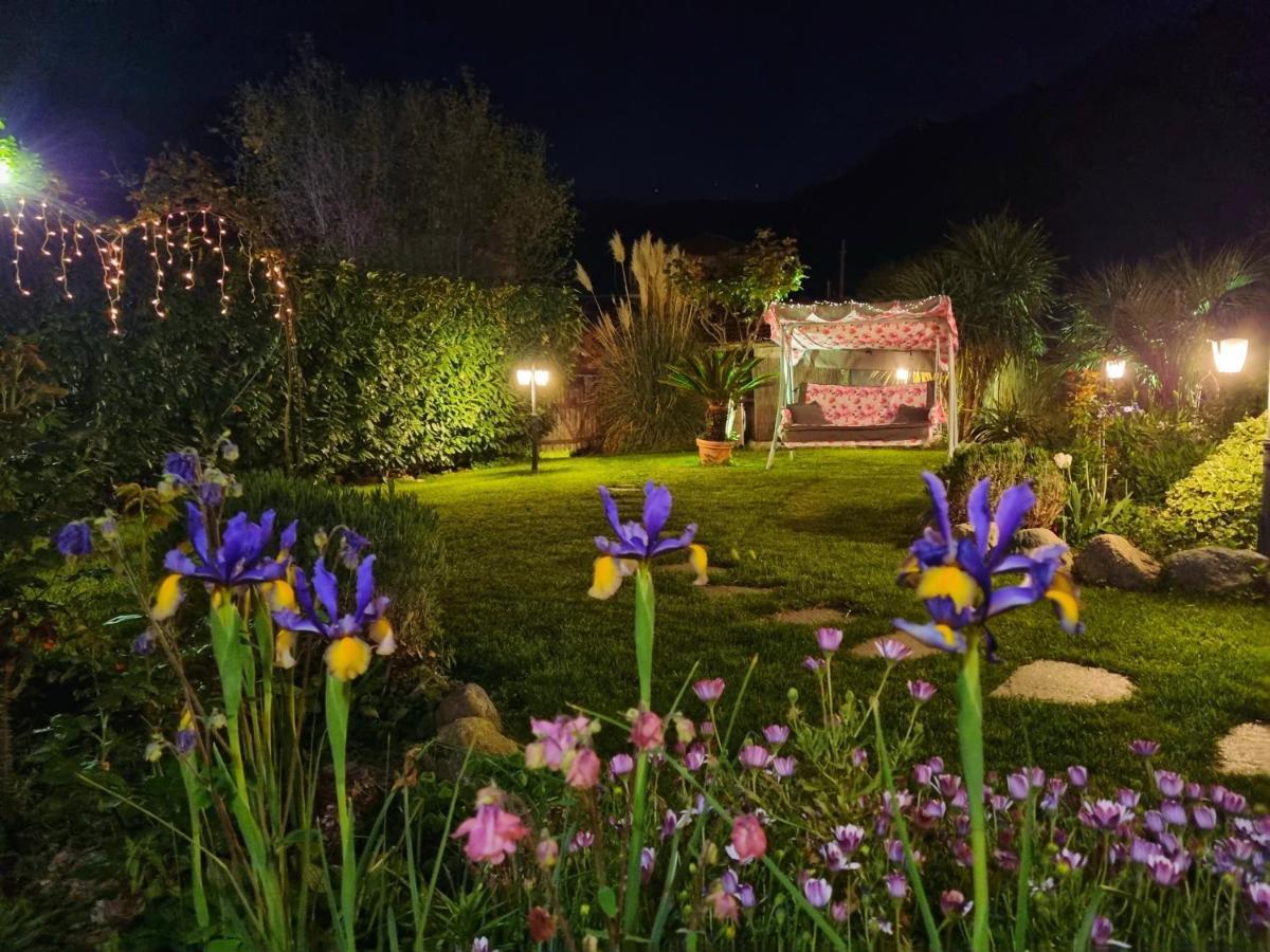Casa Vacanze Family Albisola Superiore Eksteriør billede