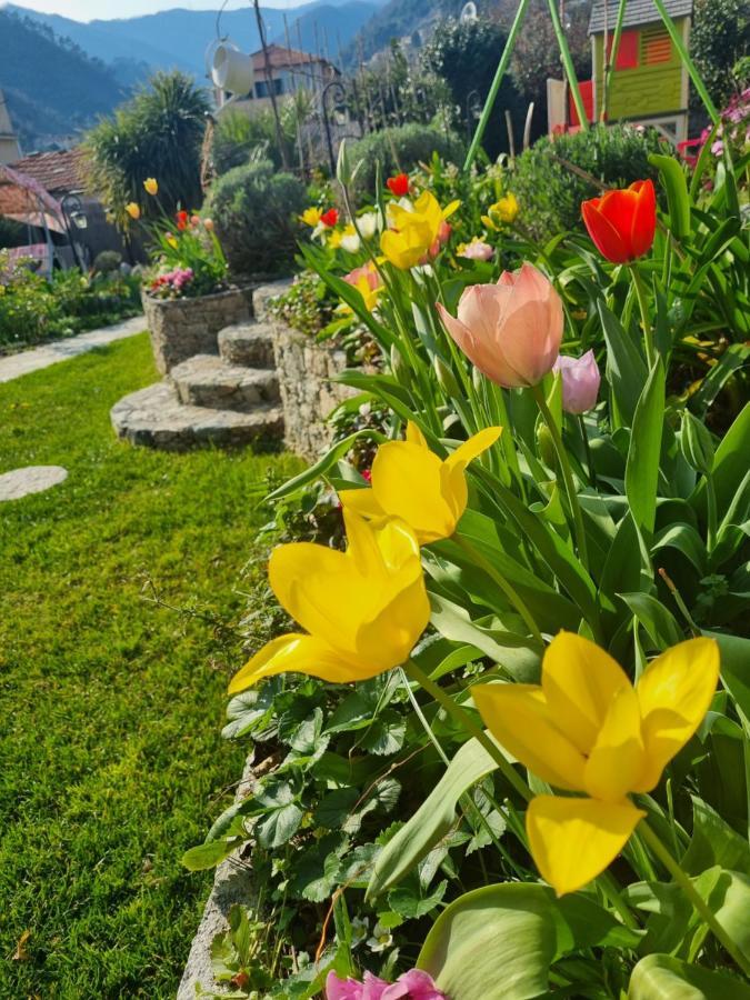 Casa Vacanze Family Albisola Superiore Eksteriør billede