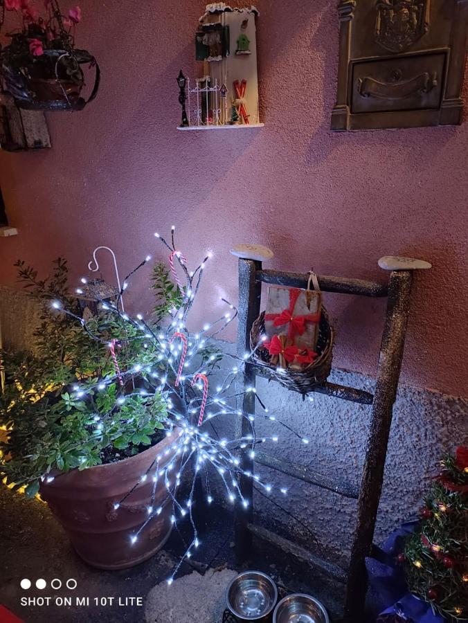 Casa Vacanze Family Albisola Superiore Eksteriør billede